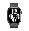 Миланский сетчатый браслет Apple для Apple Watch 45мм. Цвет: графит