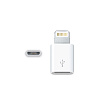 Адаптер Apple Lightning to Micro USB (MD820ZM/A)