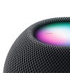 Медиаплеер Apple HomePod mini. Цвет: "серый космос"