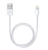 Кабель Apple Lightning to USB Cable 0.5m (ME291ZM/A)