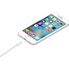 Кабель Apple Lightning to USB 1m (MXLY2ZM/A)